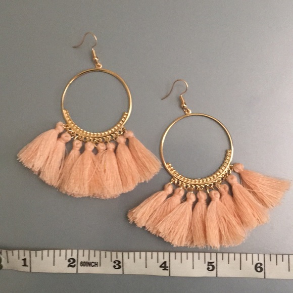 5/$25 🎉HP🎉  tassel earrings - Picture 4 of 5